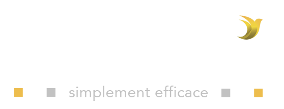 Assitelio Immo