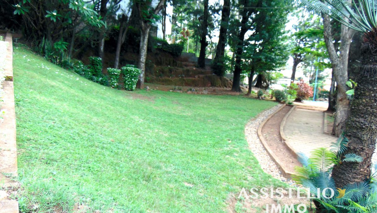 DSC02214